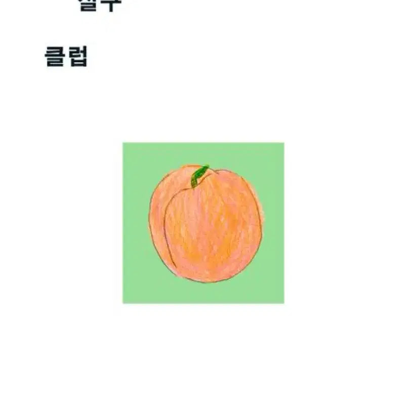 [BUNJANG] Hanroro Grapefruit Apricot Club Book - Sealed / 미개봉] 한로로 자몽살구클럽 책