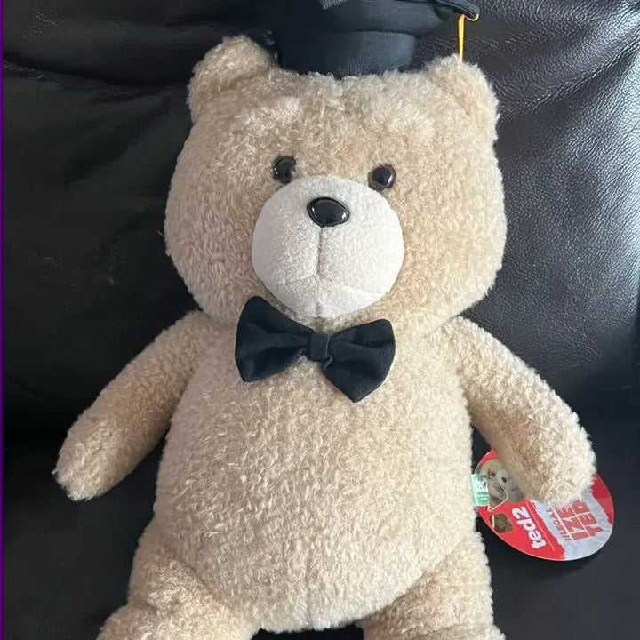 [BUNJANG] Ted 2 Graduation Bear Plush / 학사모 졸업 테드2 곰인형