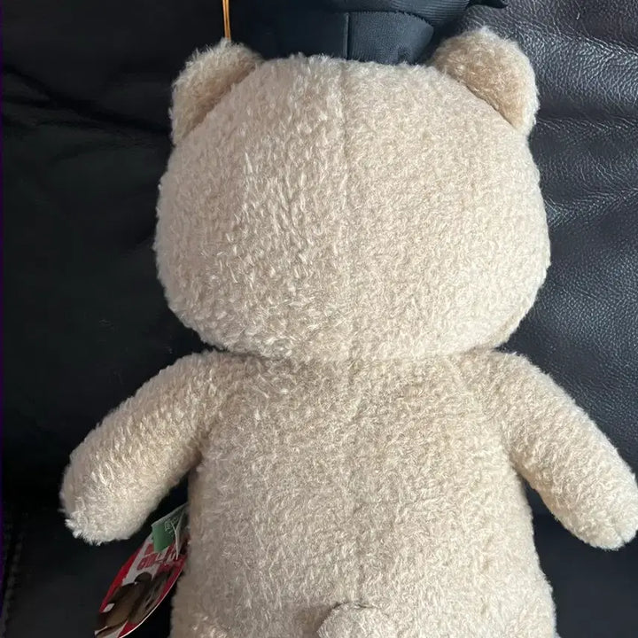 [BUNJANG] Ted 2 Graduation Bear Plush / 학사모 졸업 테드2 곰인형