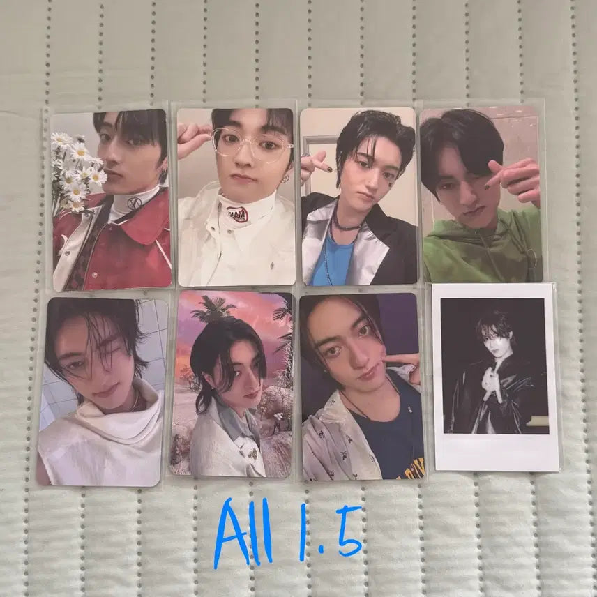 트레저 하루토 포카 일괄 양도