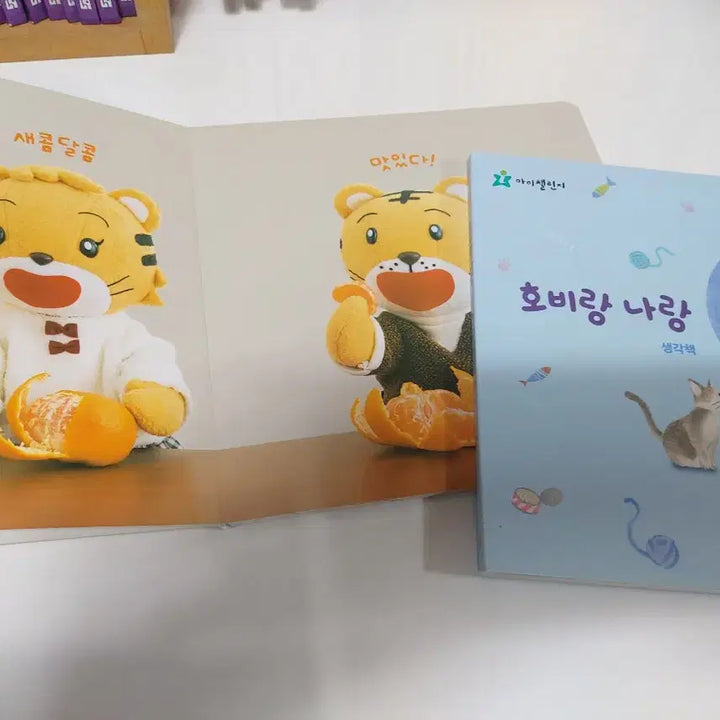 [BUNJANG] Hobi Educational Material (35 Items) / 아이챌린지 호비교재 35권