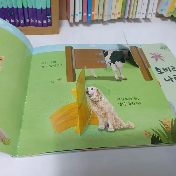 [BUNJANG] Hobi Educational Material (35 Items) / 아이챌린지 호비교재 35권