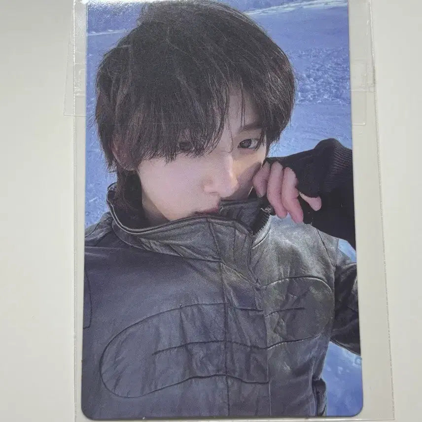 주훈 위버스 럭드 양도 코르티스 포카