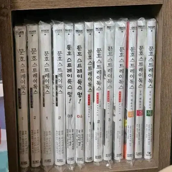 [BUNJANG] Bungo Stray Dogs Manga Bundle / 문스독 문호 스트레이독스 만화책 단행본 문스멍! 데드애플 비스트