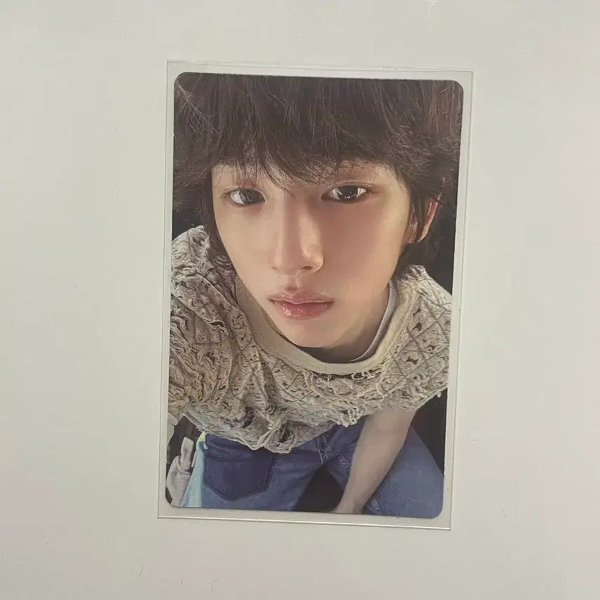 코르티스 주훈 앨범 포카