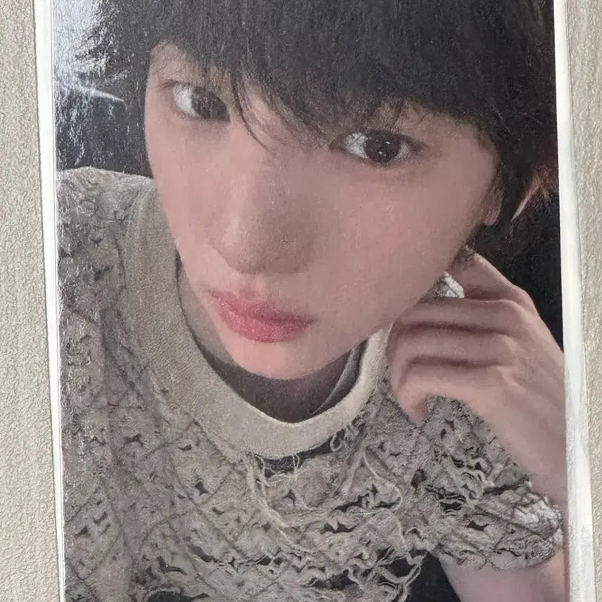 코르티스 블드미 특전 주훈 포카 양도해요