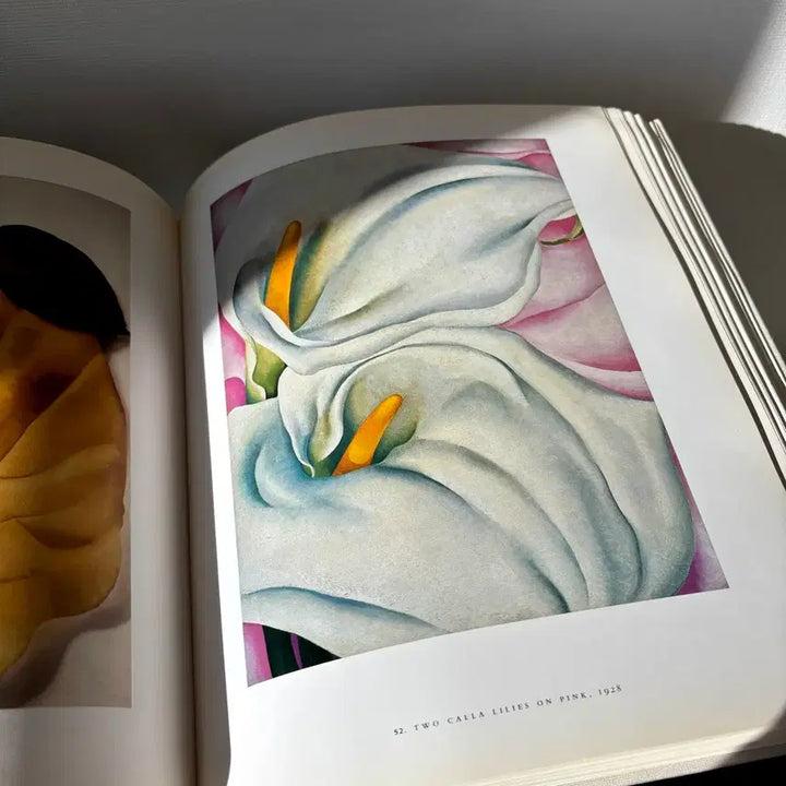 [BUNJANG] Georgia O'Keeffe Art Book / [빈티지] 조지아 오키프 아트북/도록/화집
