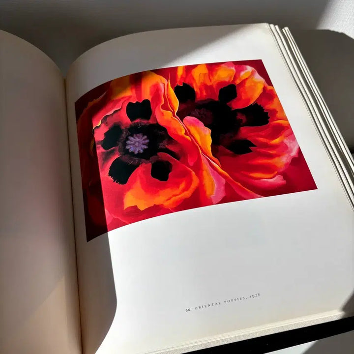 [BUNJANG] Georgia O'Keeffe Art Book / [빈티지] 조지아 오키프 아트북/도록/화집