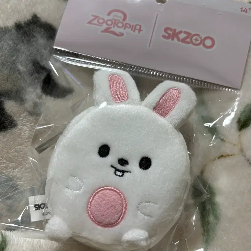 스트레이키즈 리노 스키주 리빗 동전파우치