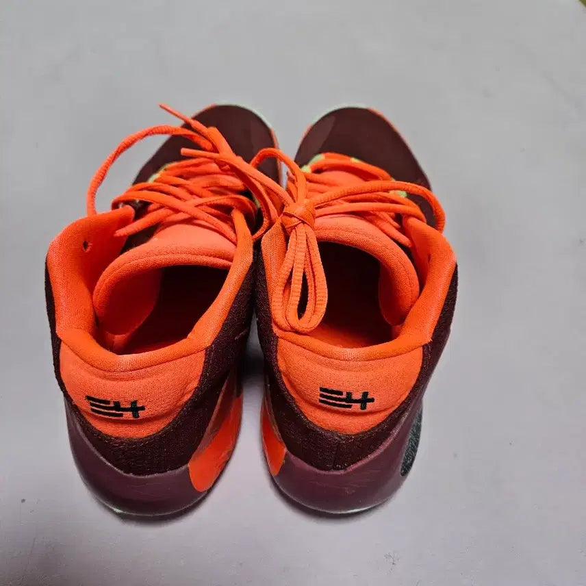 [BUNJANG] Nike Basketball Shoes / 농구화