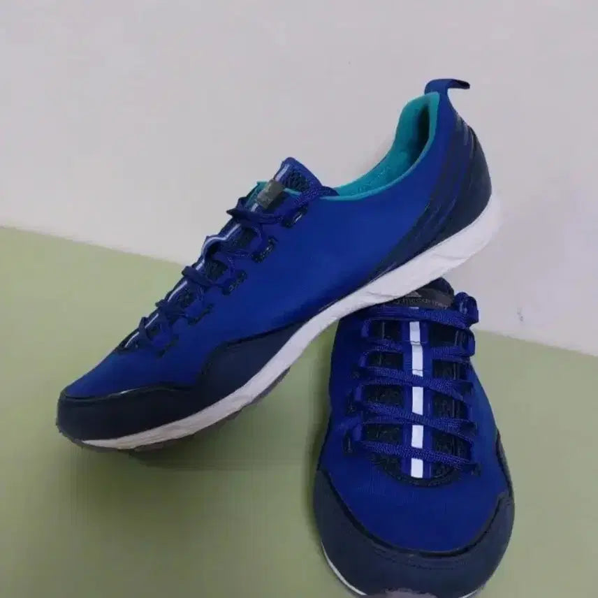 [BUNJANG] Adidas Stella McCartney Running Shoes (250) / 여성 아디다스 스텔라 맥카트니 러닝화, 조깅화(250)
