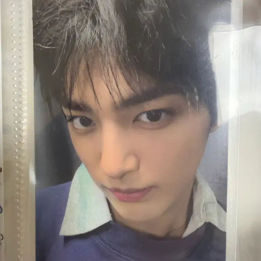 코르티스 건호 포카