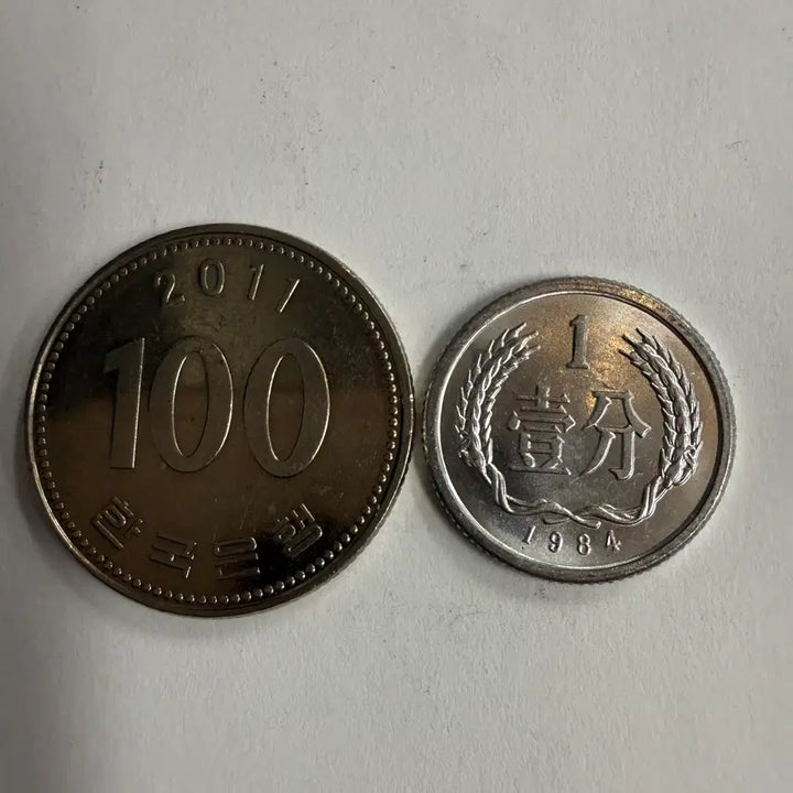 [BUNJANG] China 1984 1 Fen Coin / 1984년 중국 1분 동전 S133