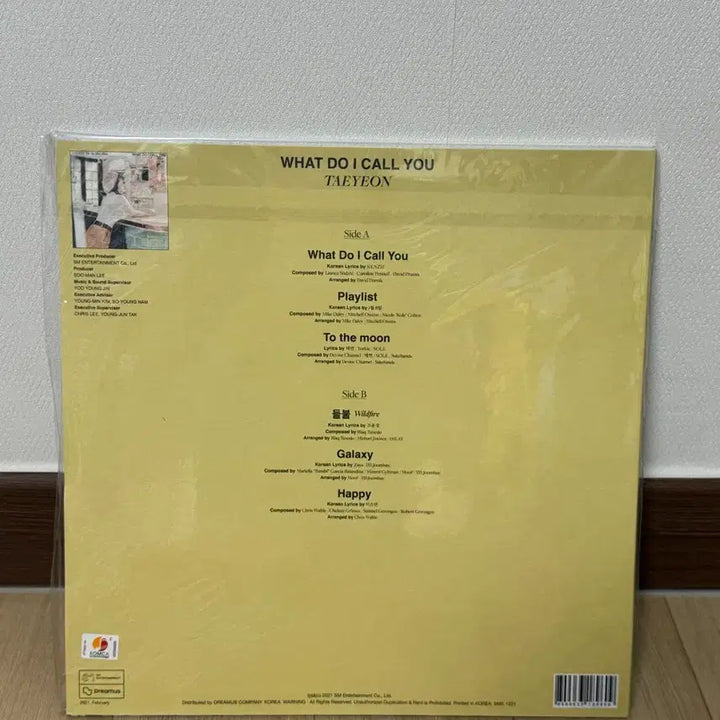 [BUNJANG] Taeyeon Sealed LP / 태연 what do i call you LP 미개봉