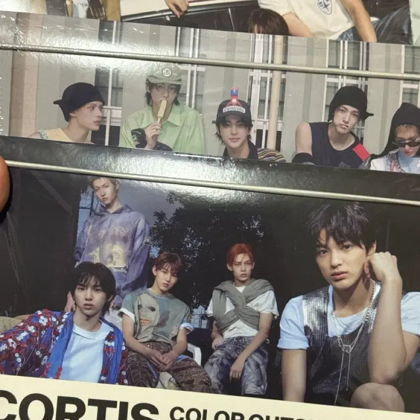 코르티스 앨범 세트 양도