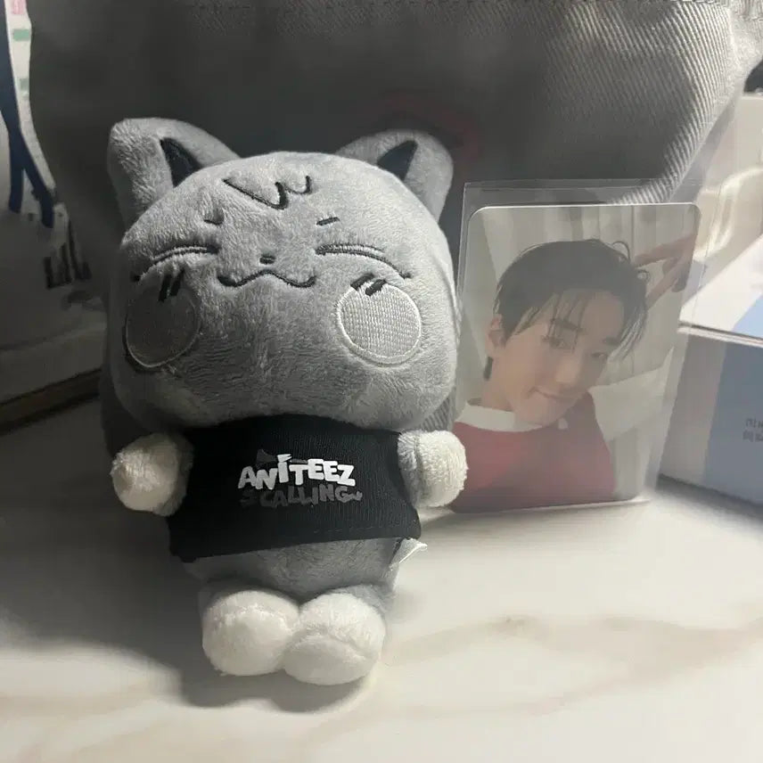 애니티즈 시멘티즈 산덕이