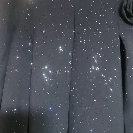 [BUNJANG] Sparkle Pleated Black Long Wide Pants / 반짝이 플리츠 블랙 롱  와이드 팬츠
