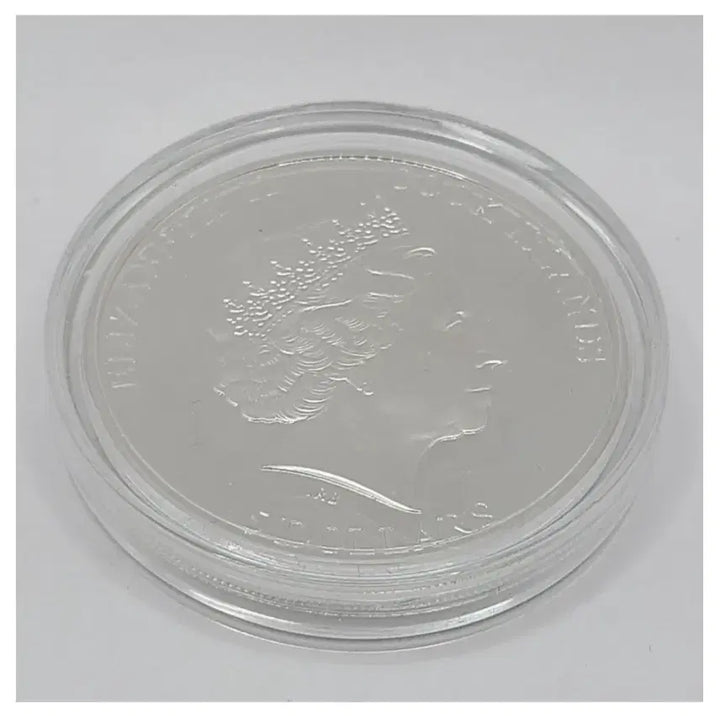 [BUNJANG] PGA Tour Silver Coin / 2013 PGA 투어 희귀한 은화