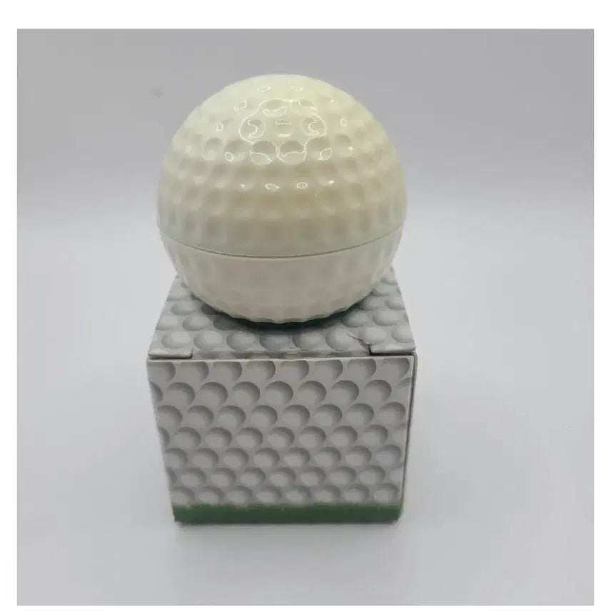 [BUNJANG] PGA Tour Silver Coin / 2013 PGA 투어 희귀한 은화