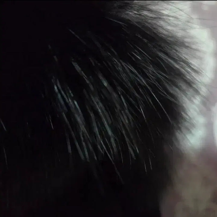 [BUNJANG] High Quality Wool & Fox Fur Handmade Coat / 무료배송/새상품)울100%/천연폭스퍼 100%/고퀄리티 핸드메이드 코트