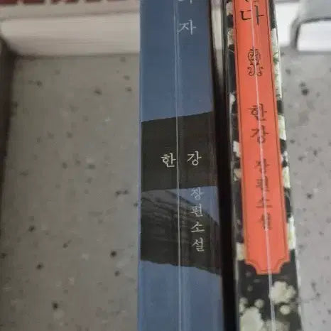 [BUNJANG] Various Books Bundle Set / 사피엔스, 소년이 온다, 채식주의자 등