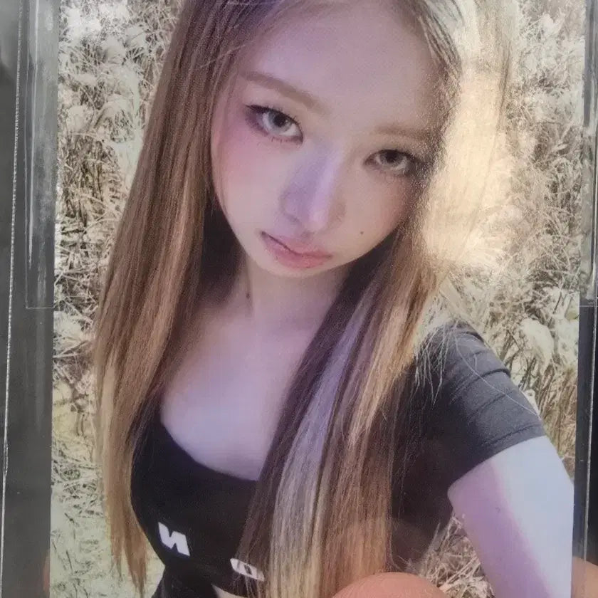 아이브 레이 공방 포카 양도