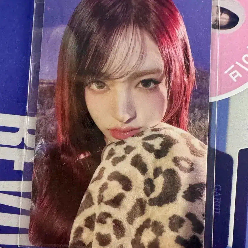 아이브 뱅뱅 리즈 공방 사녹 포카 포토카드 양도