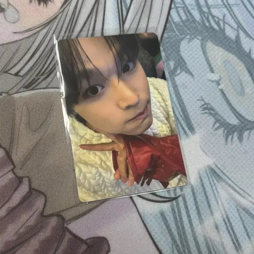 [BUNJANG] NCT WISH Riku Photocard / 엔시티위시 로그인 리쿠 포토카드