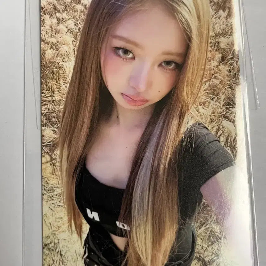 아이브 ive 뱅뱅 bangbang 공방포카 레이