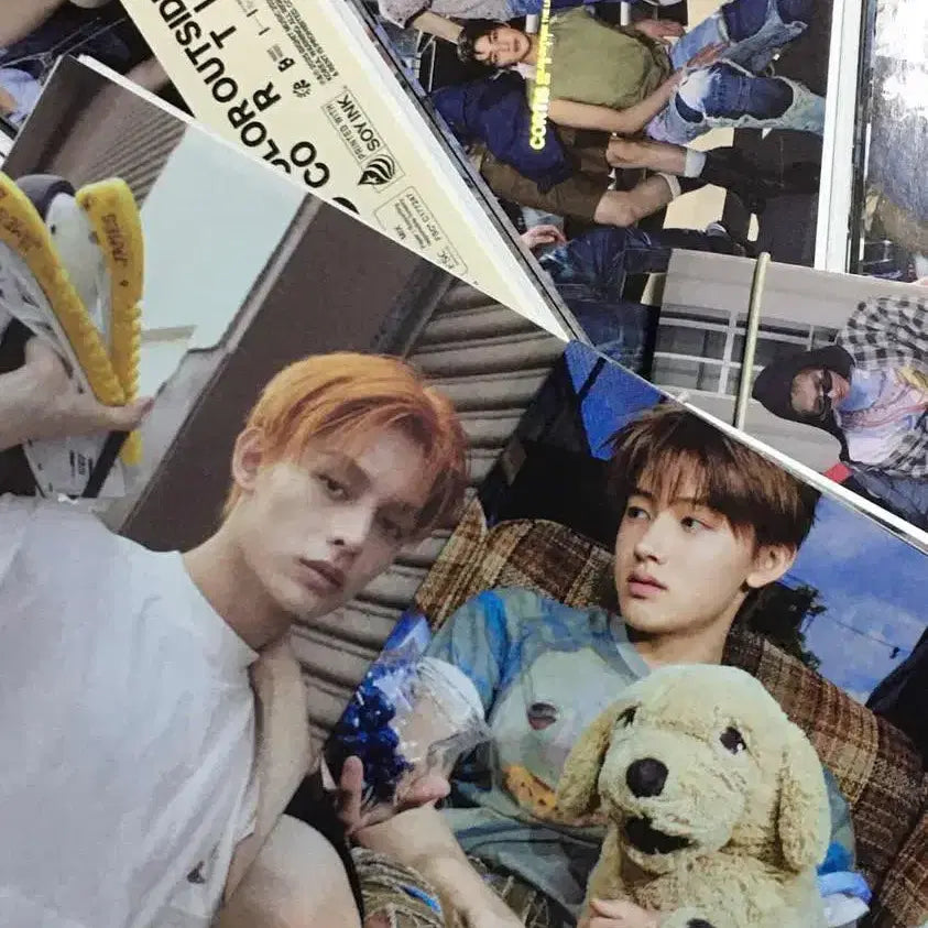 코르티스 앨범 + 포토카드