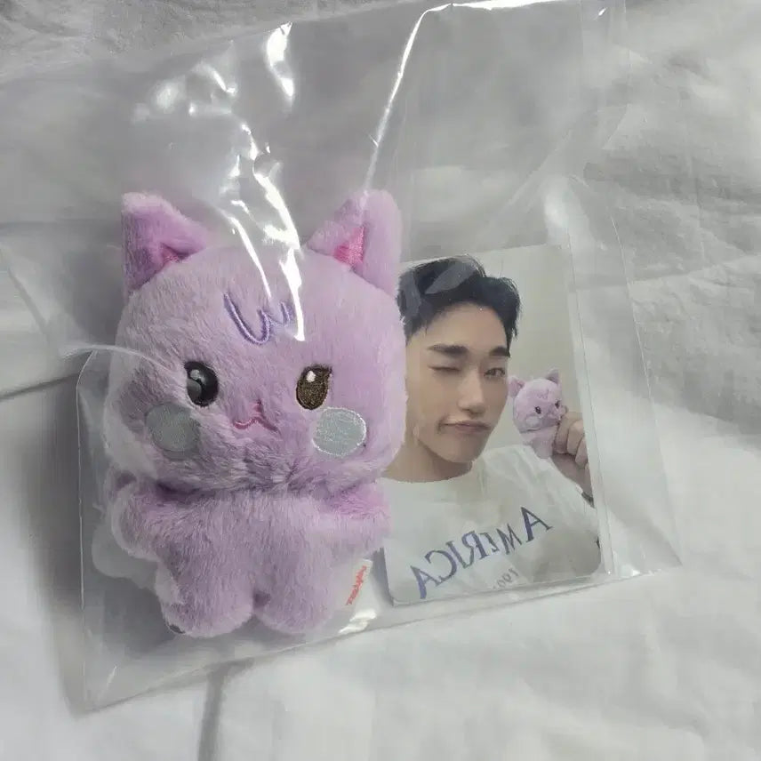 에이티즈 산 애니티즈 타이니 산덕이