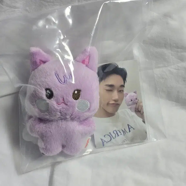 에이티즈 산 애니티즈 타이니 산덕이