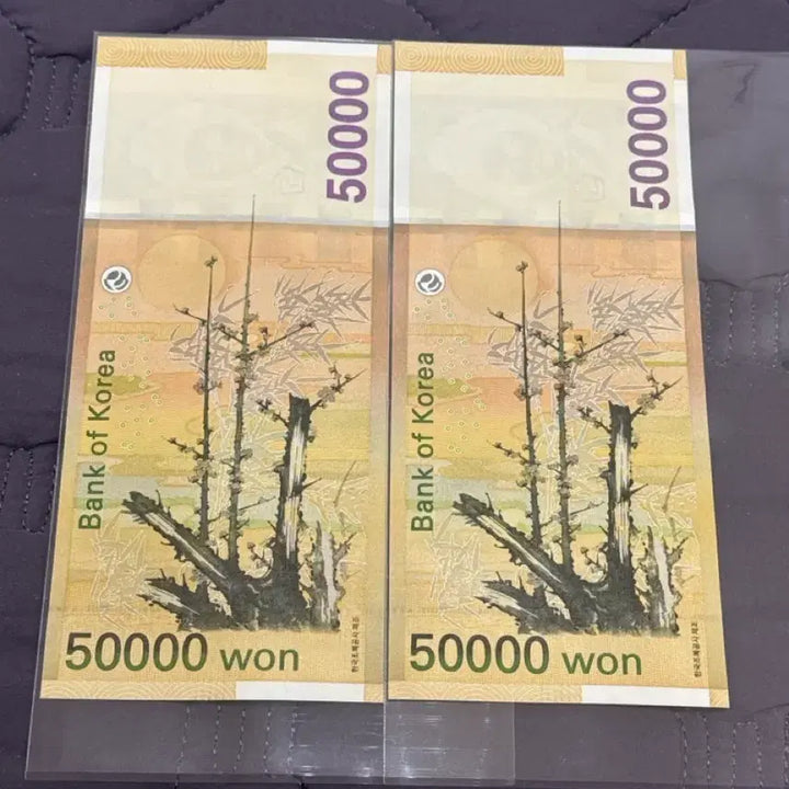 [BUNJANG] Unspecified Group Photocard Number Bundle Set / 오만원권 포카번호