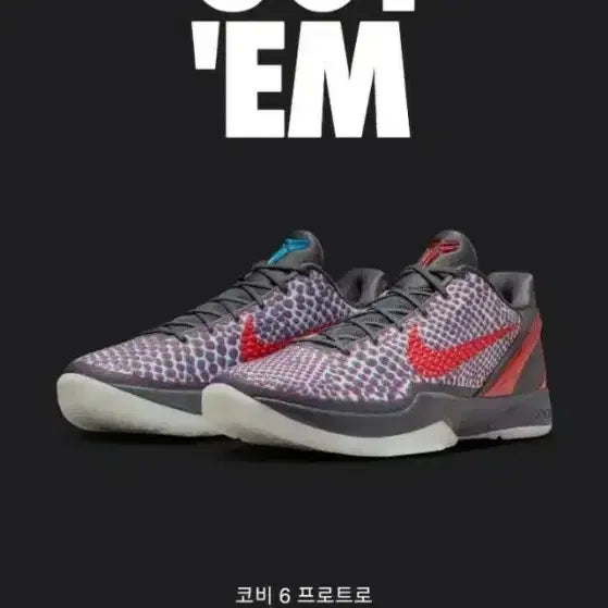 [BUNJANG] Kobe 6 Protro 3D Sneakers / [255] 코비6 프로트로 3D