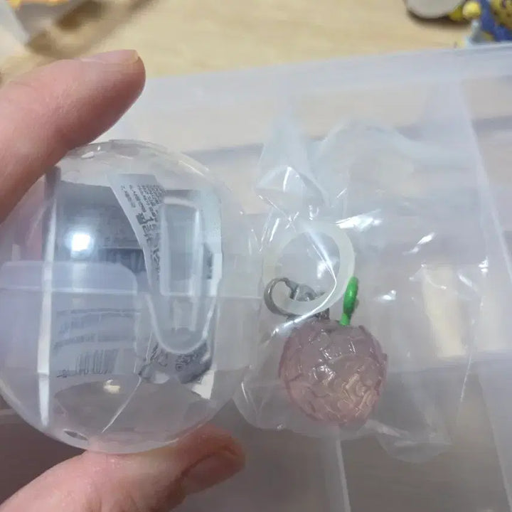 [BUNJANG] One Piece Devil Fruit Gacha Robin Flower Flower Fruit / 원피스 악마의열매 가챠