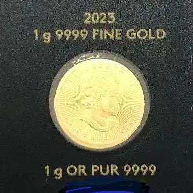 [BUNJANG] Canada Maple Leaf 1g Gold Coin / 캐나다 2023년 메이플 리프 순금화 1g