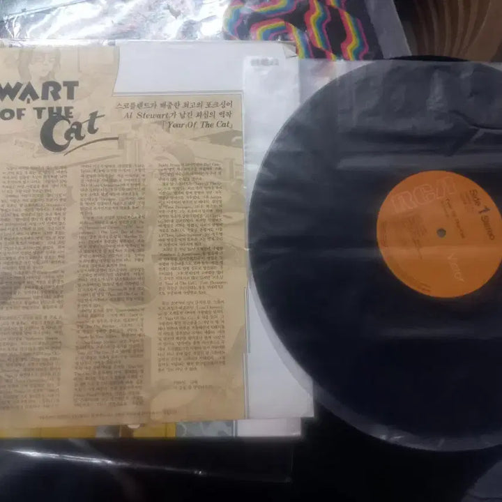 [BUNJANG] Al Stewart Year of the Cat LP / Al Stewart 의 Year of the Cat LP