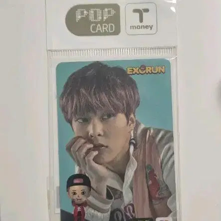 [BUNJANG] EXO Xiumin T-money Pop Card / 엑소 시우민 교통카드 팝카드 티머니 원가이하