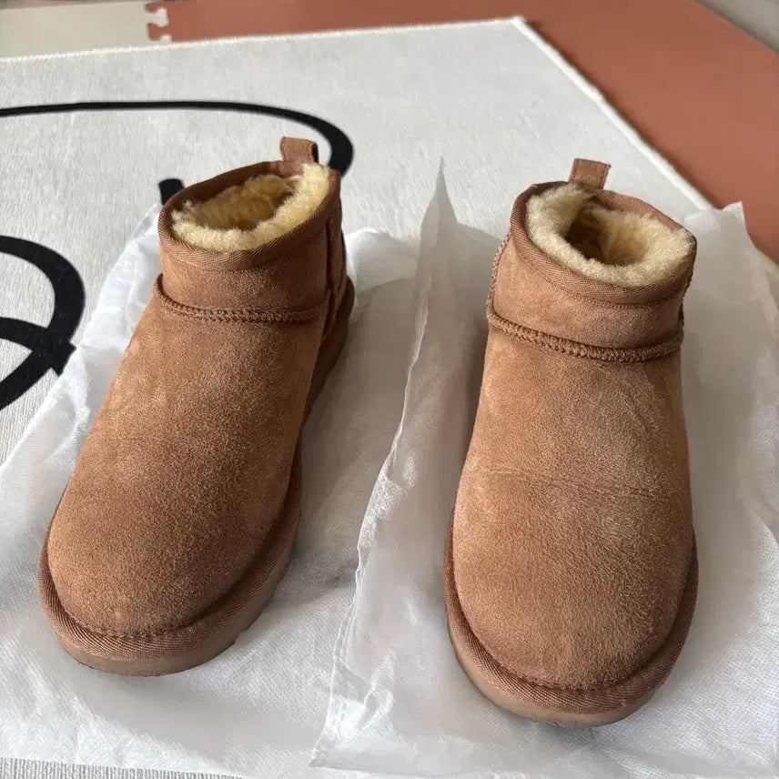 [BUNJANG] UGG Classic Ultra Mini Boots (Cream, Size 240) / 어그 클래식 울트라 미니 부츠 (크림 구매) 240