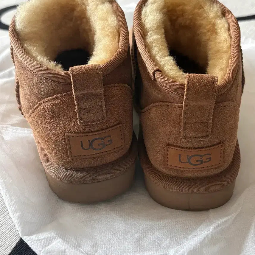 [BUNJANG] UGG Classic Ultra Mini Boots (Cream, Size 240) / 어그 클래식 울트라 미니 부츠 (크림 구매) 240