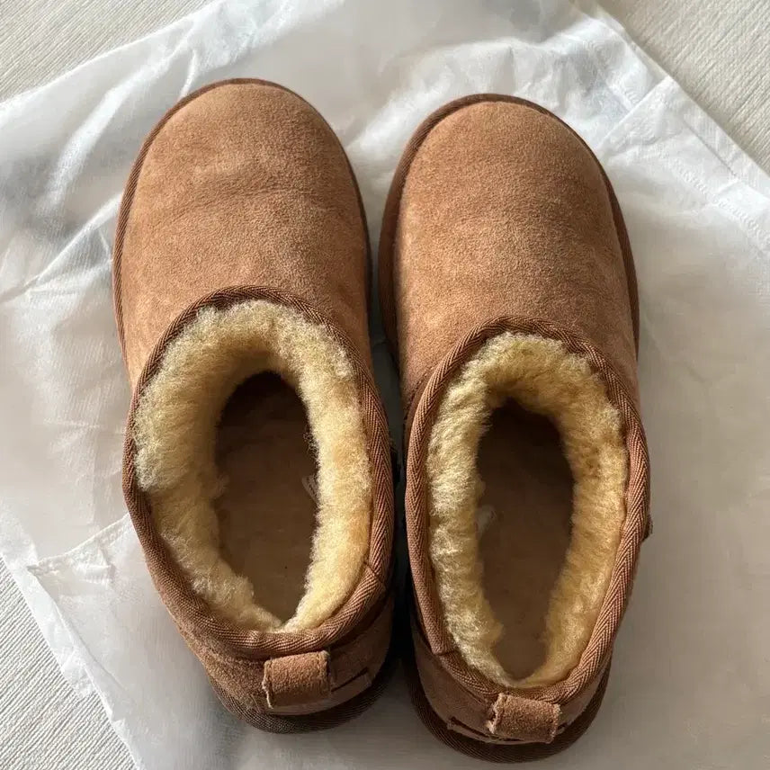 [BUNJANG] UGG Classic Ultra Mini Boots (Cream, Size 240) / 어그 클래식 울트라 미니 부츠 (크림 구매) 240