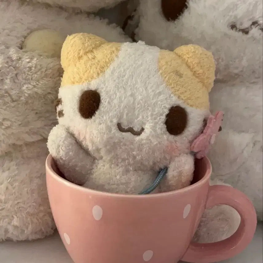 [BUNJANG] Arno Broadcast Photocard / 알파드라이브원 알디원 아르노 4주차 공방 포카