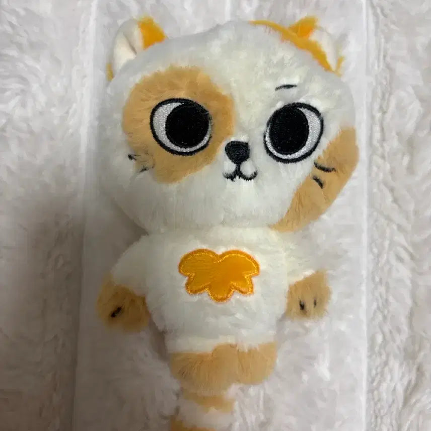 캣삐 쁘넥도 증사포함