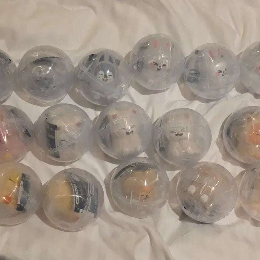 스키주 라이트 가챠 울프찬