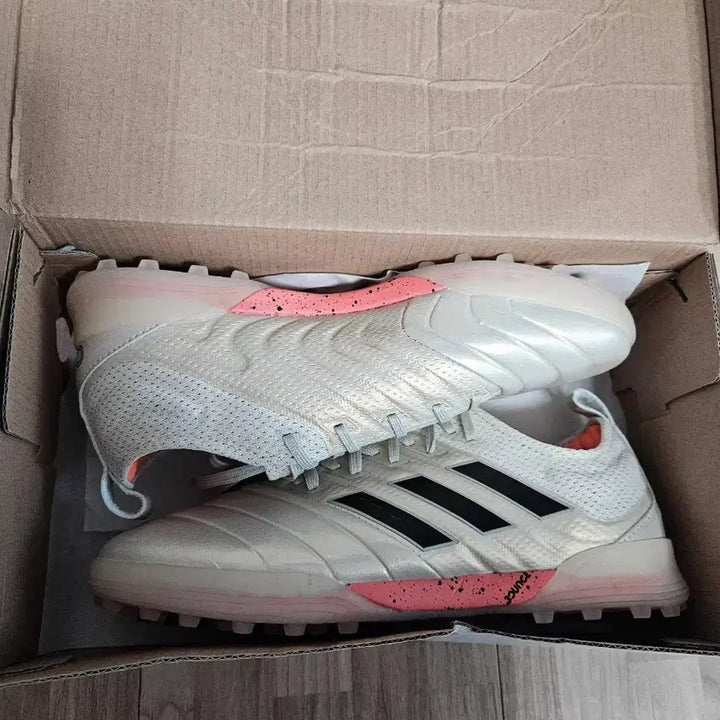 [BUNJANG] Adidas Copa 19.1 TF 255 Futsal Shoes / 아디다스 코파 19.1 tf 255