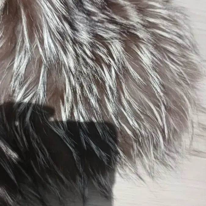 [BUNJANG] Unknown Item Size 55 / 영국 폭스 55사이즈