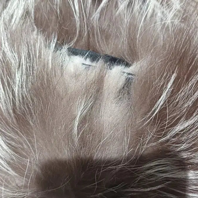 [BUNJANG] Unknown Item Size 55 / 영국 폭스 55사이즈