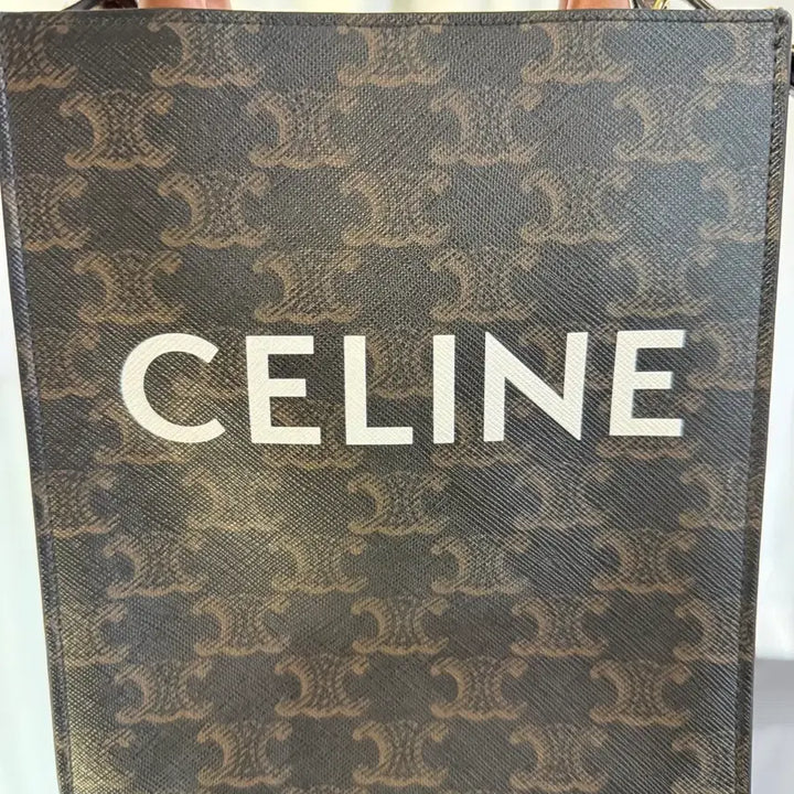 [BUNJANG] Celine Triomphe Cabas Mini Bag / 셀린느 트리오페 카바스백 미니