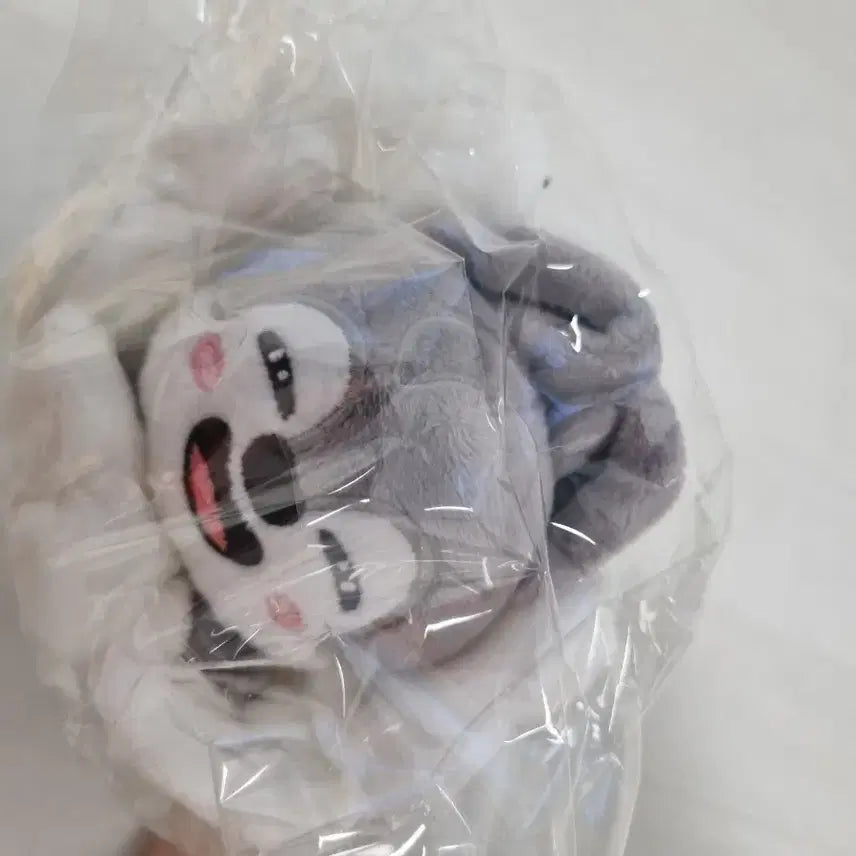 스트레이키즈 스키주 일본md 울프찬 필통