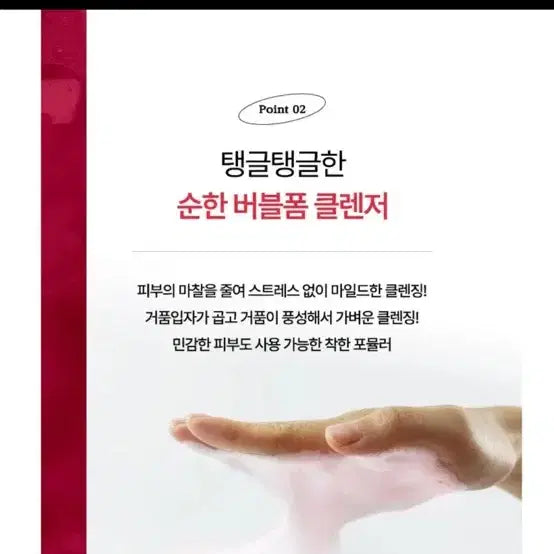 [BUNJANG] Alkamellia Bubble Cleanser Set / 알카멜리아 뷰티 버블 클렌저 2종 세트 2개가격